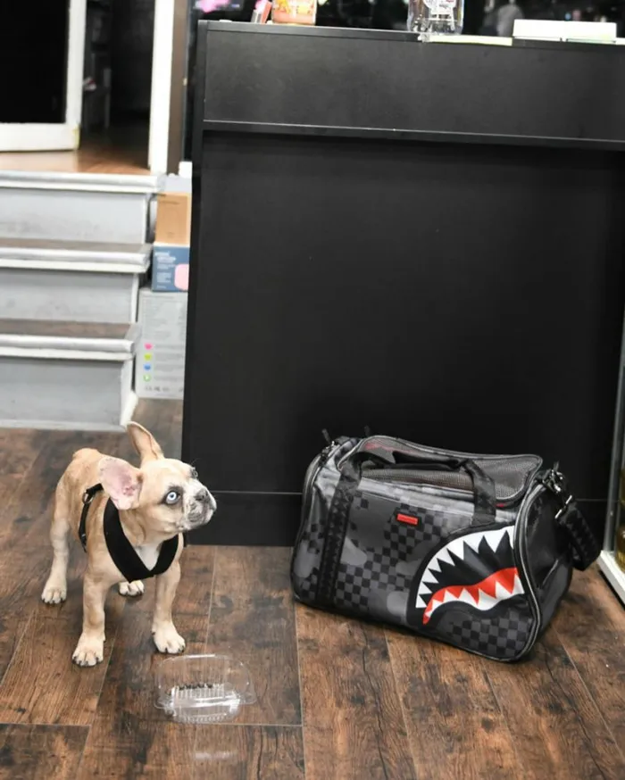 Bags SPRAYGROUND 3AM PET CARRIER