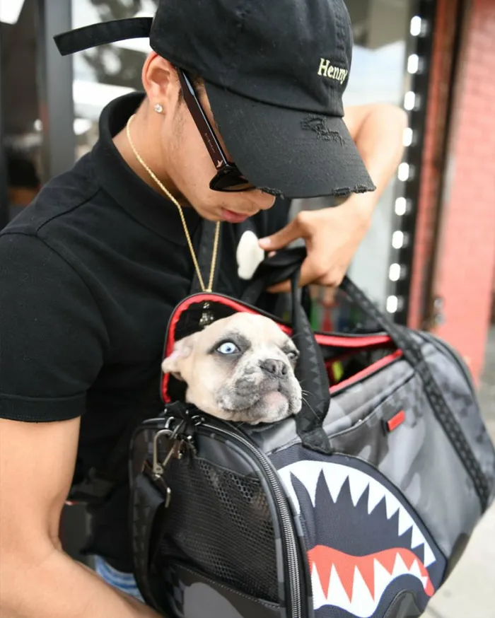 Bags SPRAYGROUND 3AM PET CARRIER