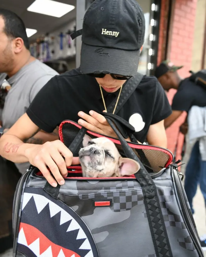 Bags SPRAYGROUND 3AM PET CARRIER