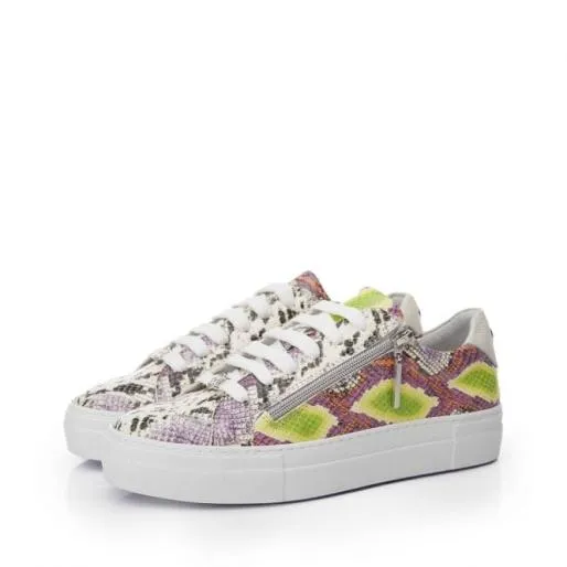 Beania Lime Green Snake Print Leather Women Moda In Pelle Casual Trainers Beania Lime Green Snake Print Leather Women Moda In Pelle Casual Trainers