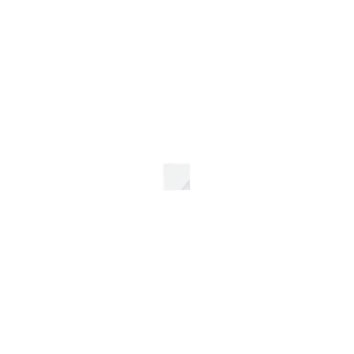 Brayla White Leather Women Moda In Pelle Casual Trainers Brayla White Leather Women Moda In Pelle Casual Trainers