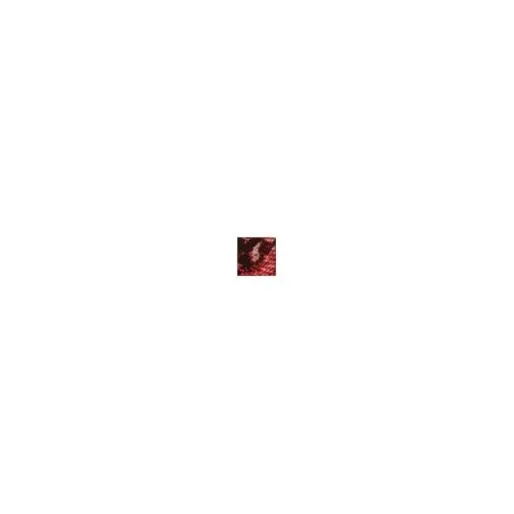 Cobrascarf Red Fabric Women Moda In Pelle Scarves Cobrascarf Red Fabric Women Moda In Pelle Scarves