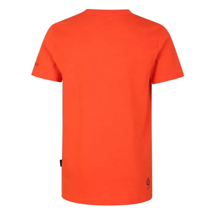 Dare 2b TShirts and Tops Go Beyond Graphic Tee Burnt Salmon 8211 Kids Dare 2b TShirts and Tops Go Beyond Graphic Tee Burnt Salmon 8211 Kids