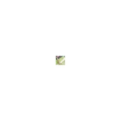 Darlene Lime Green Snake Print Leather Women Moda In Pelle High Heel Shoes Darlene Lime Green Snake Print Leather Women Moda In Pelle High Heel Shoes
