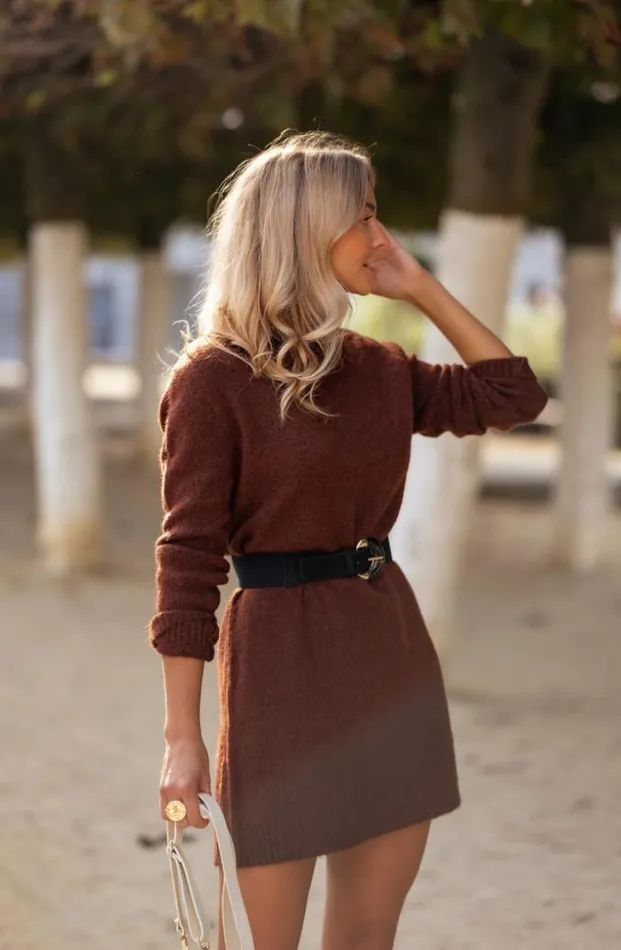 Easy Clothes Brown Lelan Dress Brown Women039s Clothing Dresses