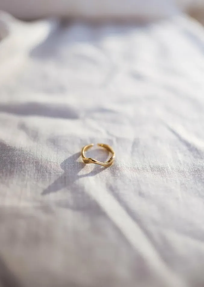 Easy Clothes Golden Nils Ring Jewelry and Accessories Rings Easy Clothes Golden Nils Ring Jewelry and Accessories Rings