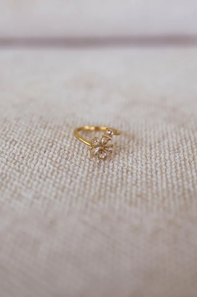 Easy Clothes Golden Rilla Ring Jewelry and Accessories Rings
