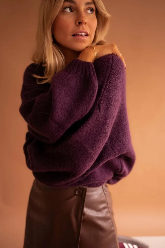 Easy Clothes Plum Joela Sweater Plum Women039s Clothing Sweaters