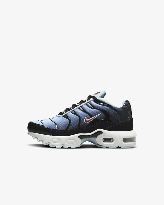 Kids Air Max Plus Blackblue Tintlight Smoke Greyrugged Orange Nike Lifestyle