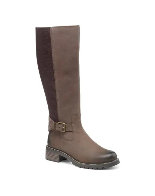 Knee High Boots Women Hotter Briley Boots Taupe