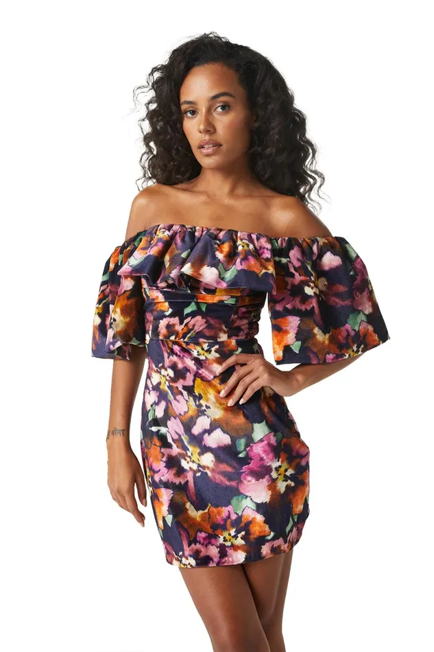 MISA Los Angeles Dresses Women ANETTA DRESS Libra Fleur Velvet