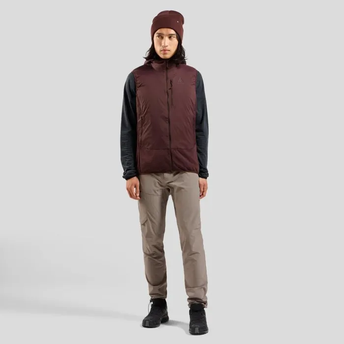 Odlo Pants and Tights The Ascent Hiking Pants Cinder 8211 Men
