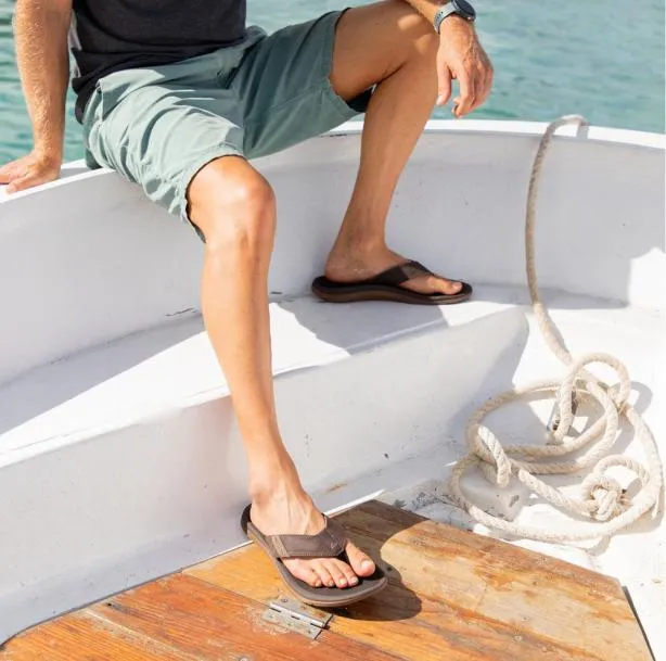 Sandals Men REEF Santa Ana Brown