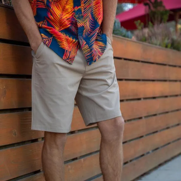 Shorts and Board Shorts Men REEF Dante Walk Short 20034 Otter