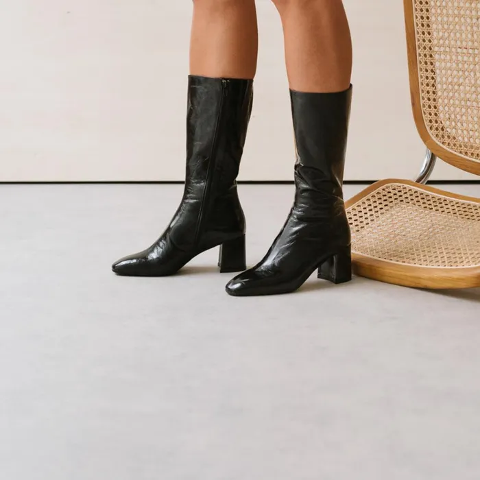 Women Ankle Boots Lowboots Jonak Heeled Boots With Pointed Toe